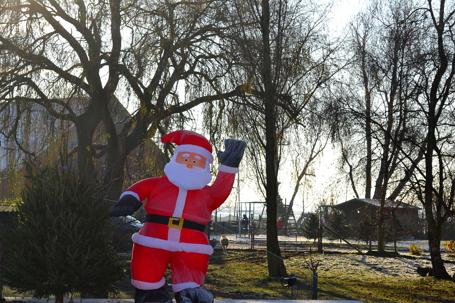 Nordmann Excellent kerstbomen Amsterdam